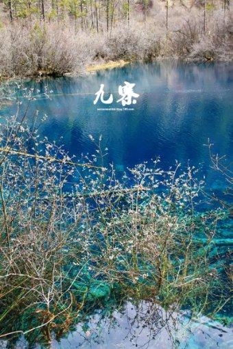 小僵尸消消看