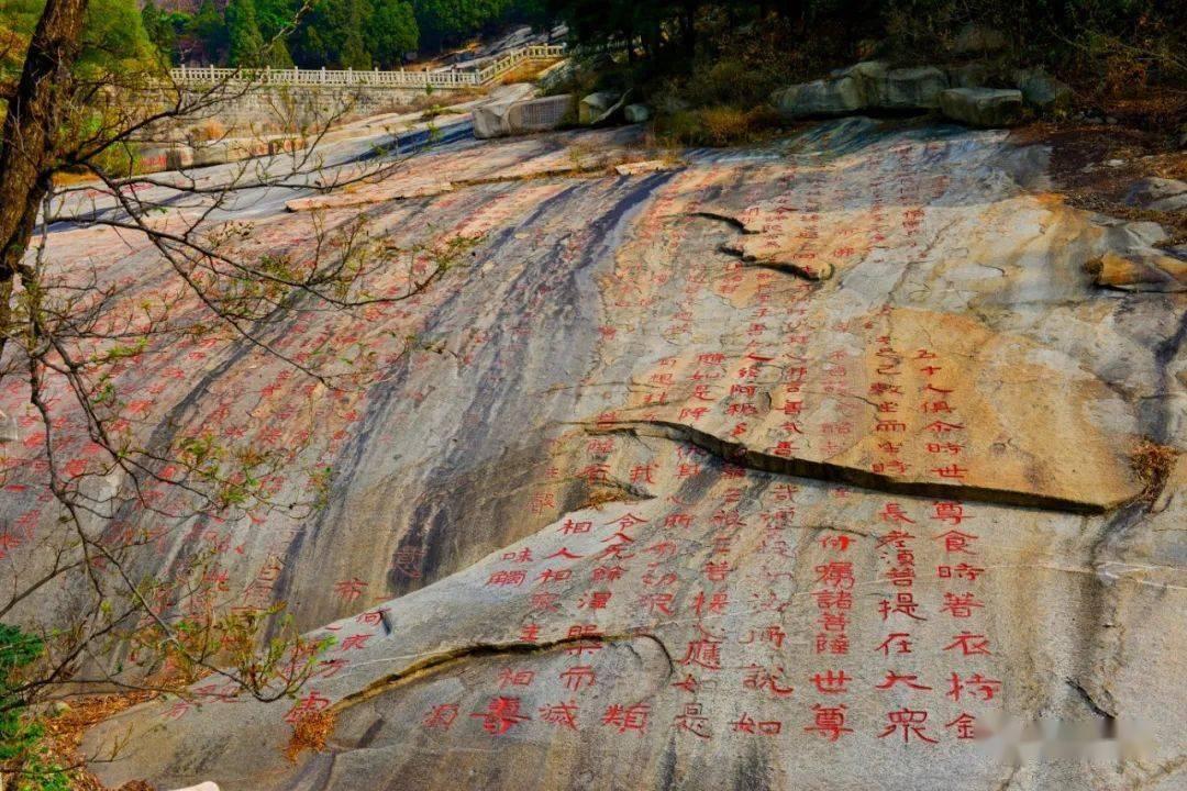 苹果手机nfc在郑州添加什么交通卡？游戏画面