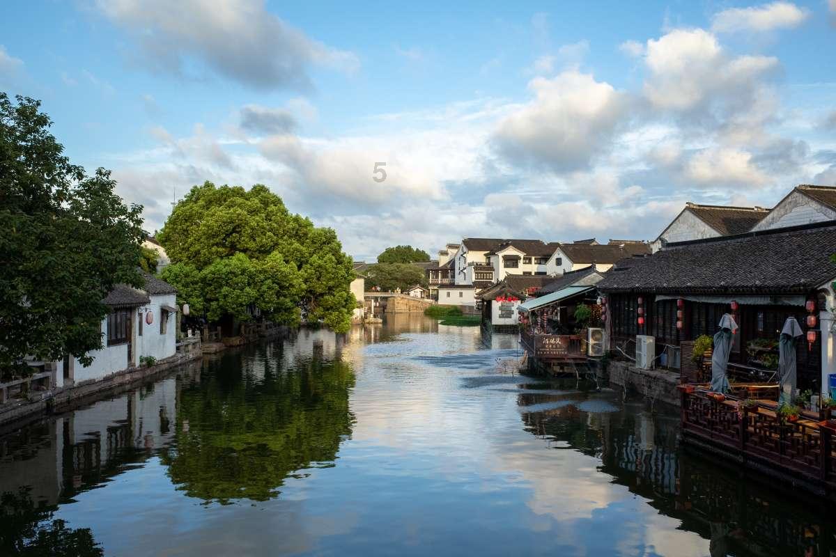 僵尸跳跳跳